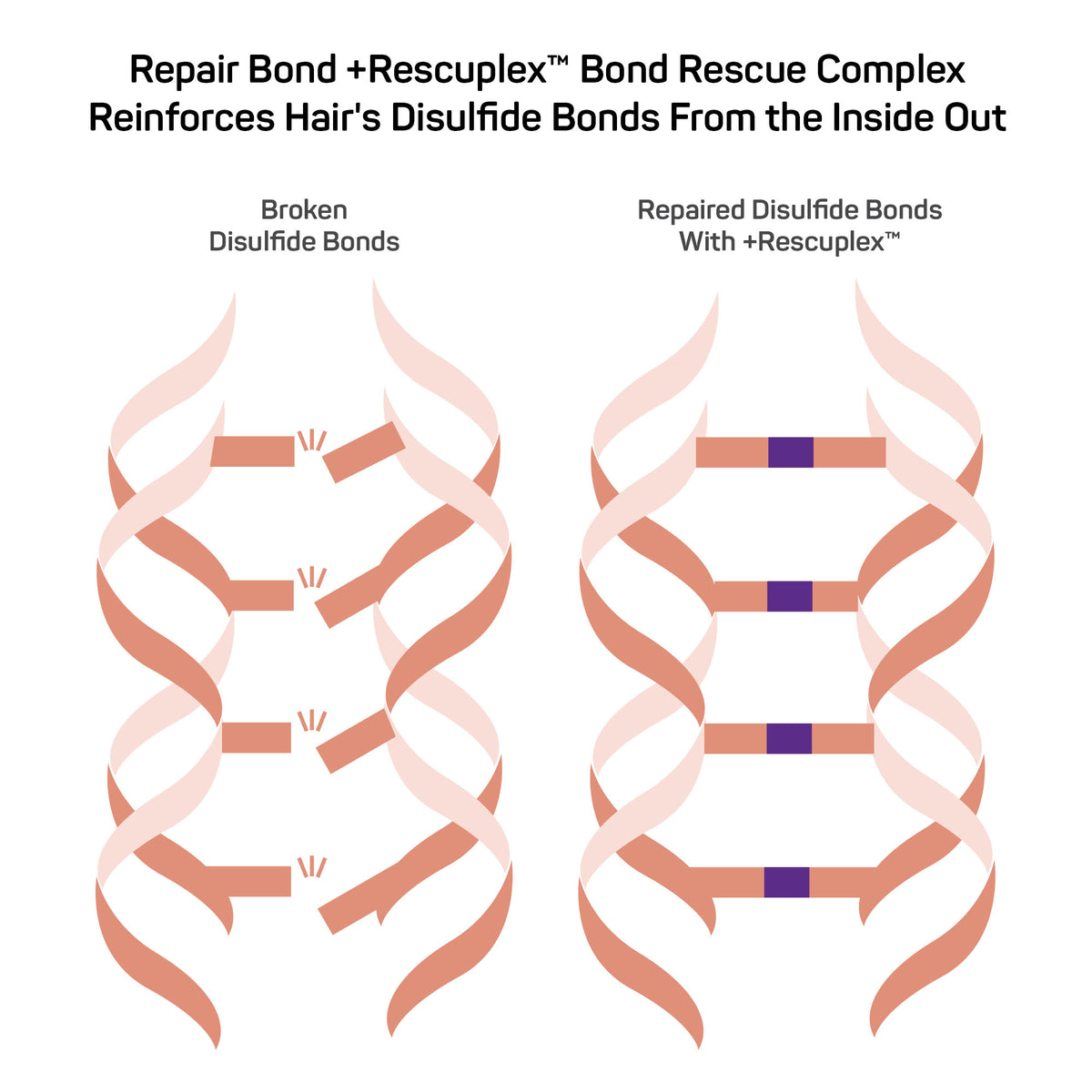 Repair Bond +Rescuplex™ <br> Defrizzing Smoothing Cream